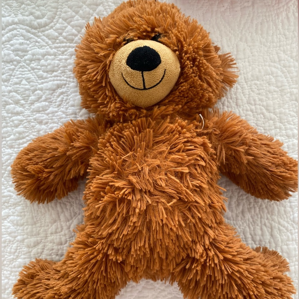 Kid’s Teddy Bear